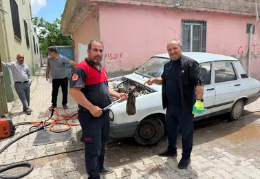 Şanlıurfa'da otomobilin motoruna saklanan yılan paniğe yol açtı