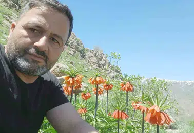 Hakkari dağlarında ağlayan gelinlerin mevsimi başladı