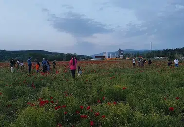 Bingöl yolundaki kırmızı manzara sürücüleri mola vermeye zorladı
