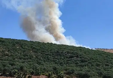 Silvan kırsalındaki ormanlık alanda çıkan yangın ekiplerin müdahalesiyle söndürüldü