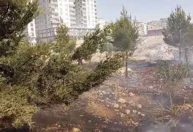 Mardin yangınlarla mücadele ediyor