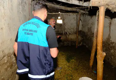 Van'da kuduz paniği Arıtoprak Mahallesi giriş çıkışlara kapatıldı