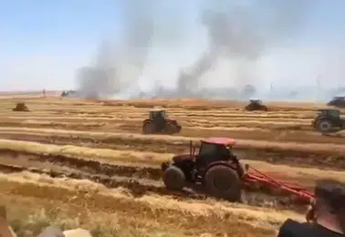 Viranşehirde anız yangını çiftçinin emeğini yaktı