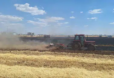 Kızıltepe’de hasat mevsimi yangınla kabusa döndü