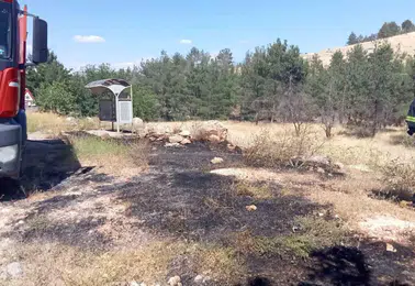 Karaköprü kırsalında çıkan orman yangını büyümeden kontrol altına alındı
