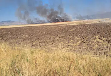 Bingöl'de anız yangınına müdahale eden 4 itfaiyeci dumandan etkilendi