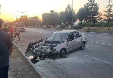 Muş Bitlis yolunda otomobil ağaçlara çarptı 3 kişi yaralandı