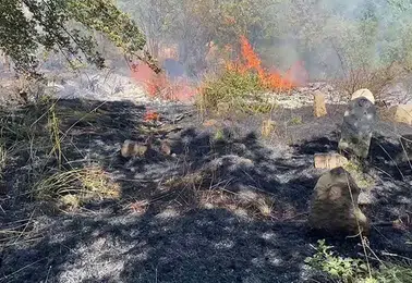 Bitlis merkezinde aynı gün çıkan iki yangın çevrede korku yarattı