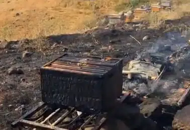 Solhan ilçesinde arıcılık yapan bir üreticinin 25 kovanı kundaklandı