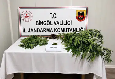 Bingöl jandarmasından aranan şahıslara yönelik geniş çaplı operasyon