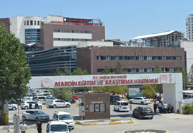 Mazıdağı ilçesinde dedesinin evinde kalan genç çocuk silahla hayatını kaybetti