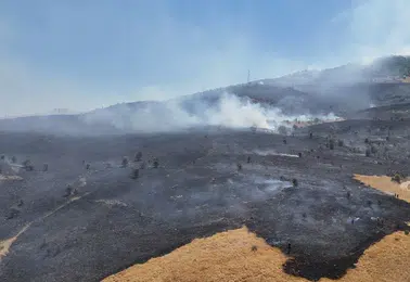 Tunceli ormanlarında çıkan yangın ekiplerin müdahalesiyle kontrol altına alındı