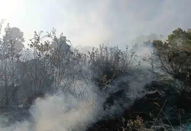 Bingöl ve Solhan kırsalındaki yangınlar ekiplerin müdahalesiyle tamamen söndürüldü
