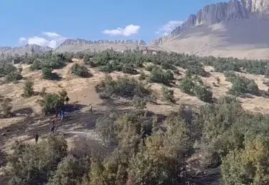 Beytüşşebap ormanlarında korkutan yangın