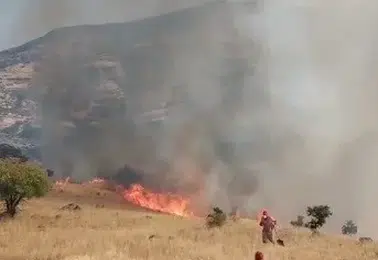 Nazımiye ormanlarında yangın paniği havadan ve karadan müdahale ediliyor