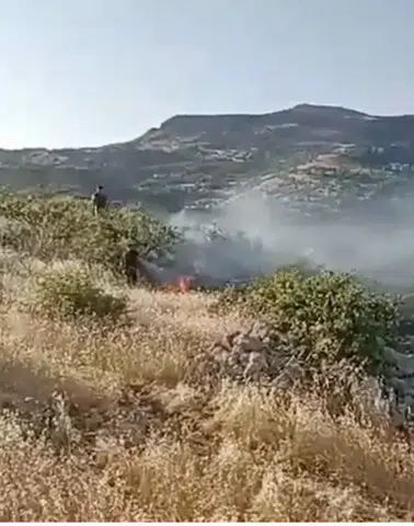 Dicle kırsalında kontrol altına alınmaya çalışılan alevler paniğe neden oldu?