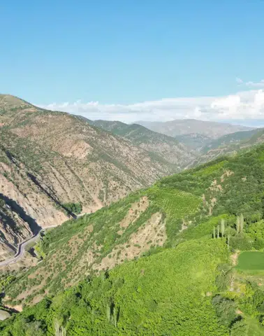 Hizan Doğası ve Sevimli Sincaplarıyla Doğa Tutkunlarının Yeni Gözdesi Oldu