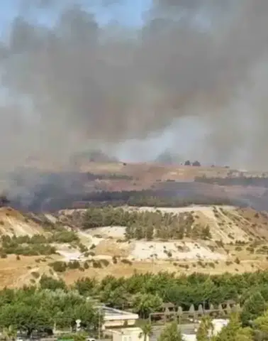 Şanlıurfa Karaköprü’deki ormanlık alanda çıkan yangın kontrol altına alındı