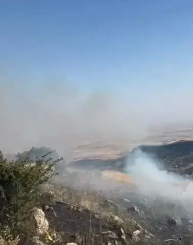 Hazro ilçesinde çıkan örtü yangını kontrol altına alınarak söndürüldü