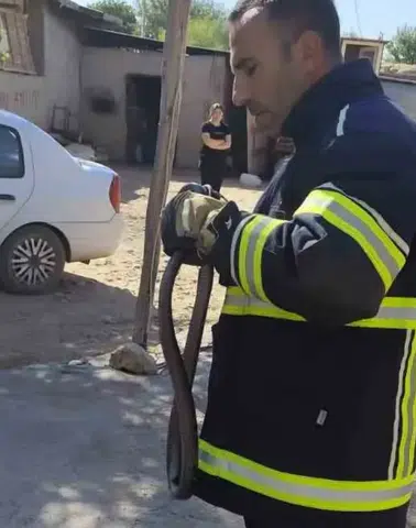 Diyarbakır Bismil’de bir evin yatak odasında iki metrelik yılan bulundu