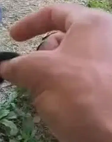 Fırtınada yuvadan düşen kargalara yuva oldu