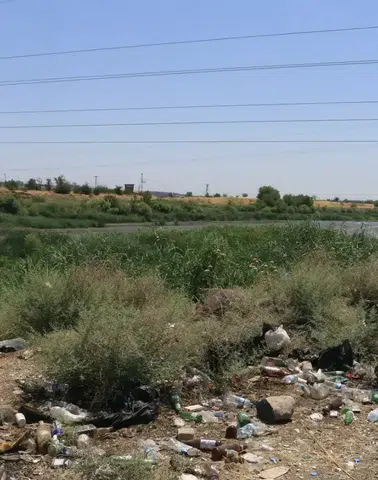 Dicle Nehri kıyısındaki plastik atıklar doğaya ve canlılara zarar veriyor