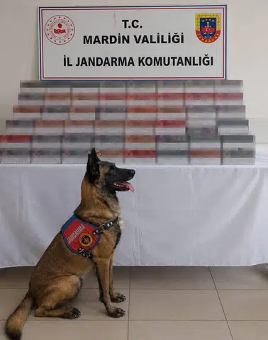 Mardin genelinde düzenlenen operasyonlarda 8 milyon liralık kaçak ürün yakalandı