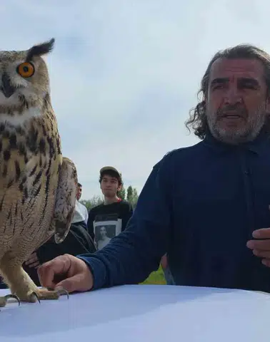 Van YYÜ’de Dünya Göçmen Kuşlar Günü’nde anlamlı etkinlik: Tedavisi tamamlanan şahin doğaya bırakıldı