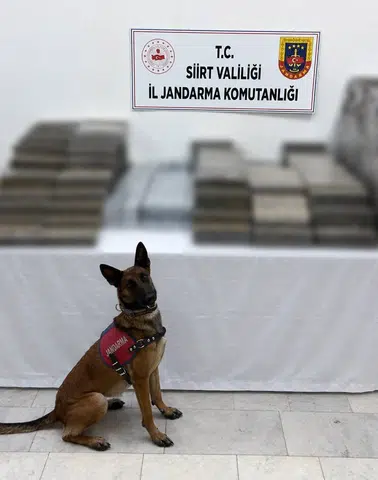 Siirt jandarmasından kömür çuvalları arasına gizlenmiş kaçak sigara operasyonu