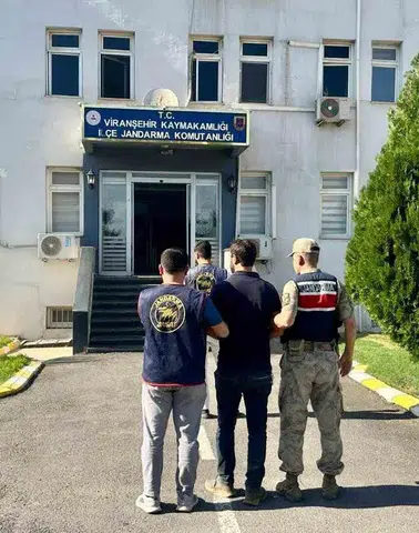 Viranşehir'de aranan hükümlü jandarma operasyonuyla yakalandı