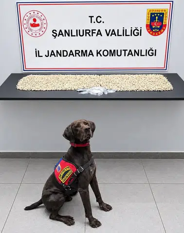 Şanlıurfa Eyyübiye'de büyük uyuşturucu operasyonu