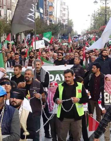 Van sokakları Filistin'e destek için bir araya geldi