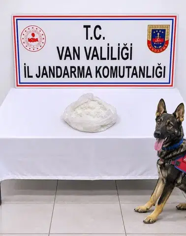 Gevaş yolunda otobüs yolcusunun çantasından uyuşturucu çıktı