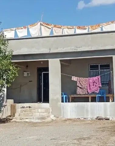 Siverek bağlarında sonbahar bereketi pestil mesaisiyle başladı