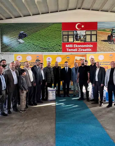 Ağrı'da çiftçilere 550 ton sertifikalı buğday tohumu desteği verildi