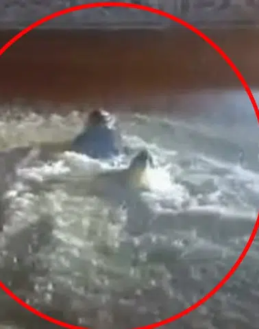 Midyat’ta hayat durma noktasına geldi: Sel sularını havuz sanıp kulaç attı