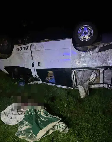 Varto yolunda kamyonet kazası Bir kişi hayatını kaybetti