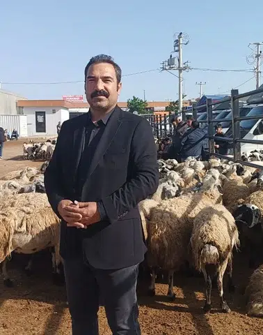Şanlıurfa kurban pazarında fiyat savaşı başladı
