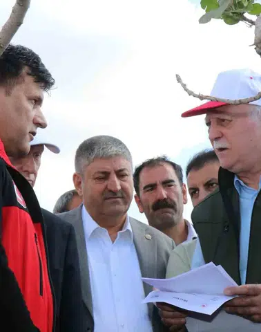 Şanlıurfa'da süper hücre fıstık bahçelerini vurdu