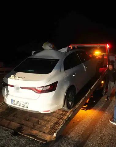 Muş Bingöl yolunda otomobil ata çarptı yedi kişi yaralandı