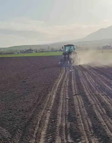 Adilcevaz ovasında şeker pancarı mesaisi başladı