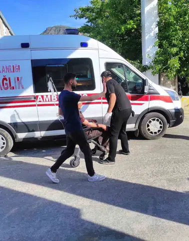 Sason’da aile kavgası hastanelik etti