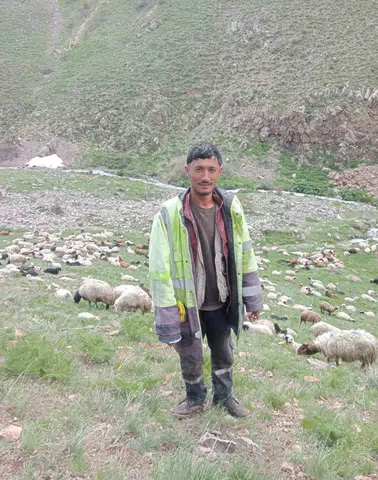 Ağrı'daki cinayetin şüphelisi kontrol noktasında yakalandı