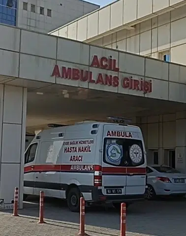 Erciş merkezinde aile kavgası kanlı bitti