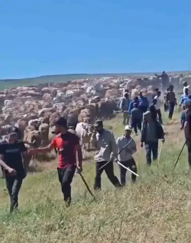 Muş’ta arazi kavgası kanlı bitti
