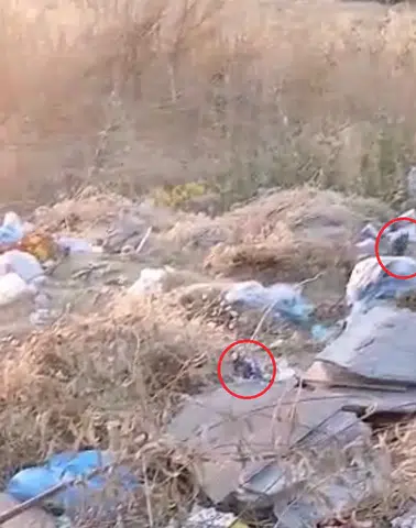 Diyarbakır Kayapınar sakinleri boş arazideki çöp yığınlarına isyan etti