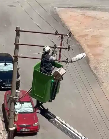 Elazığda elektrik tellerine sıkışan güvercin ekiplerin çabasıyla özgürlüğüne kavuştu