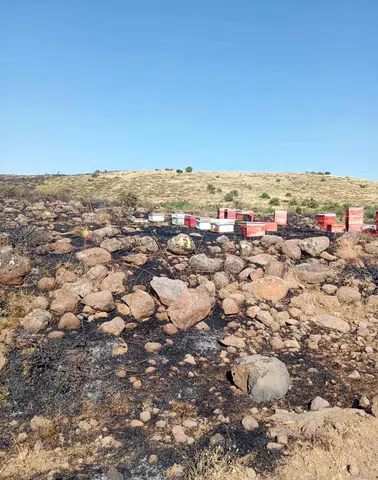 Karakoçan'da çıkan arazi yangını çok sayıda arı kovanını küle çevirdi