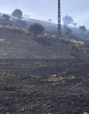 Siirt Akyamaç köyünde çıkan yangın mera alanını küle çevirdi