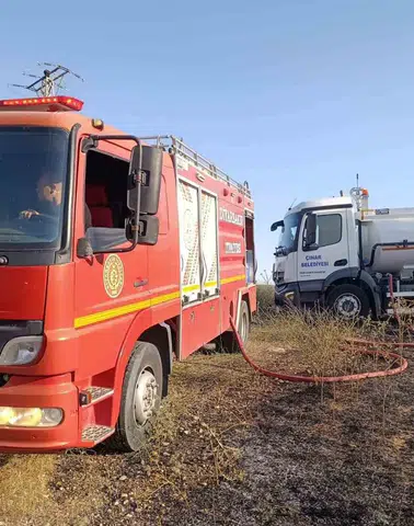 Diyarbakır Çınar'da çıkan yangın elektrik direğindeki leyleklerin sonu oldu